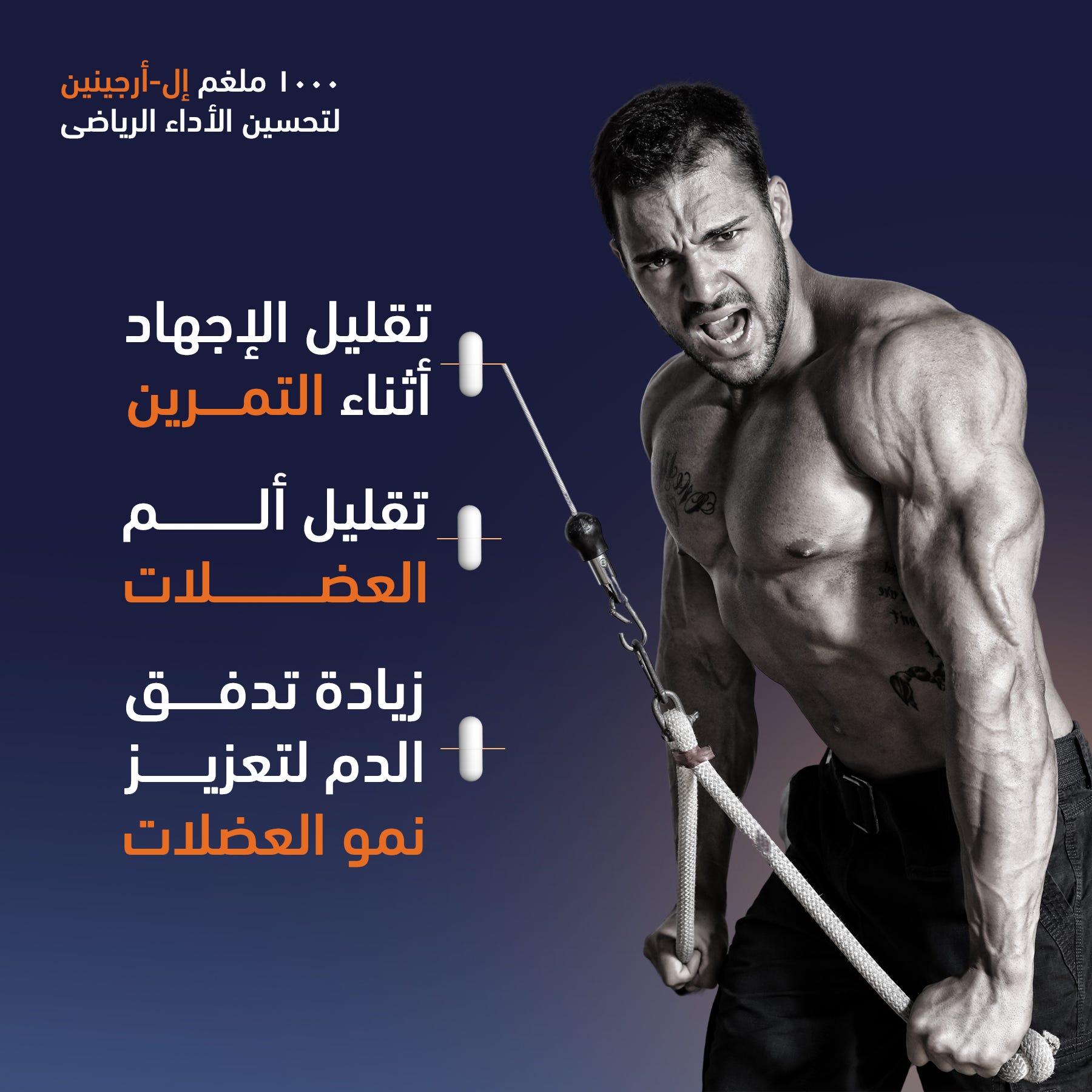 Muscular man exercising with a barbell on a dark background with Arabic text.