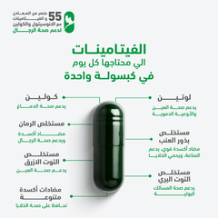 هوليستا فيتامينات متعددة للرجال 60 كبسولة