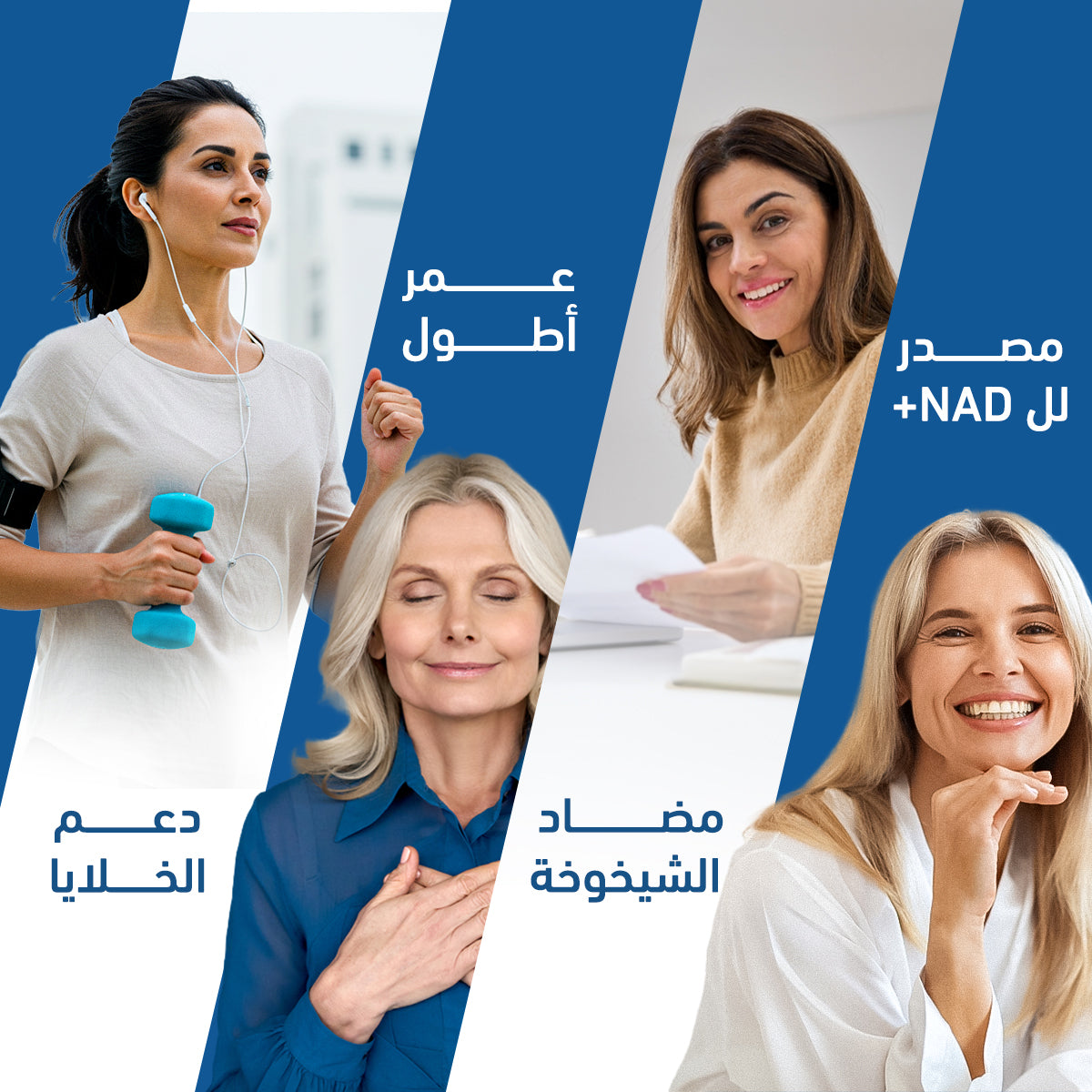 Holista Nmn 150 Mg 90 Sg Caps