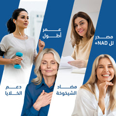 Holista Nmn 150 Mg 90 Sg Caps