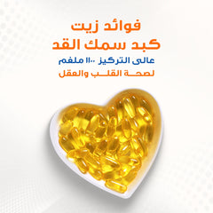 هوليستا زيت كبد سمك القد هوليستا - 1100 ملجم - 120 كبسولة هلامية