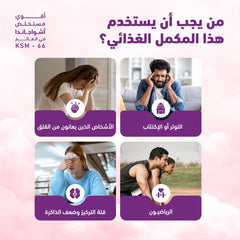 Holista Ogranic Ashwaganda 600mg 60 Cap