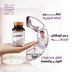 Holista Ogranic Ashwaganda 600mg 60 Cap