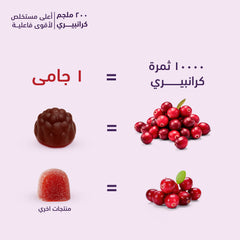 هوليستا خلاصة الرمان - 200 ملجم - 60 جاميز