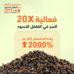 هوليستا كركم 400 مجم 60 كبسولة